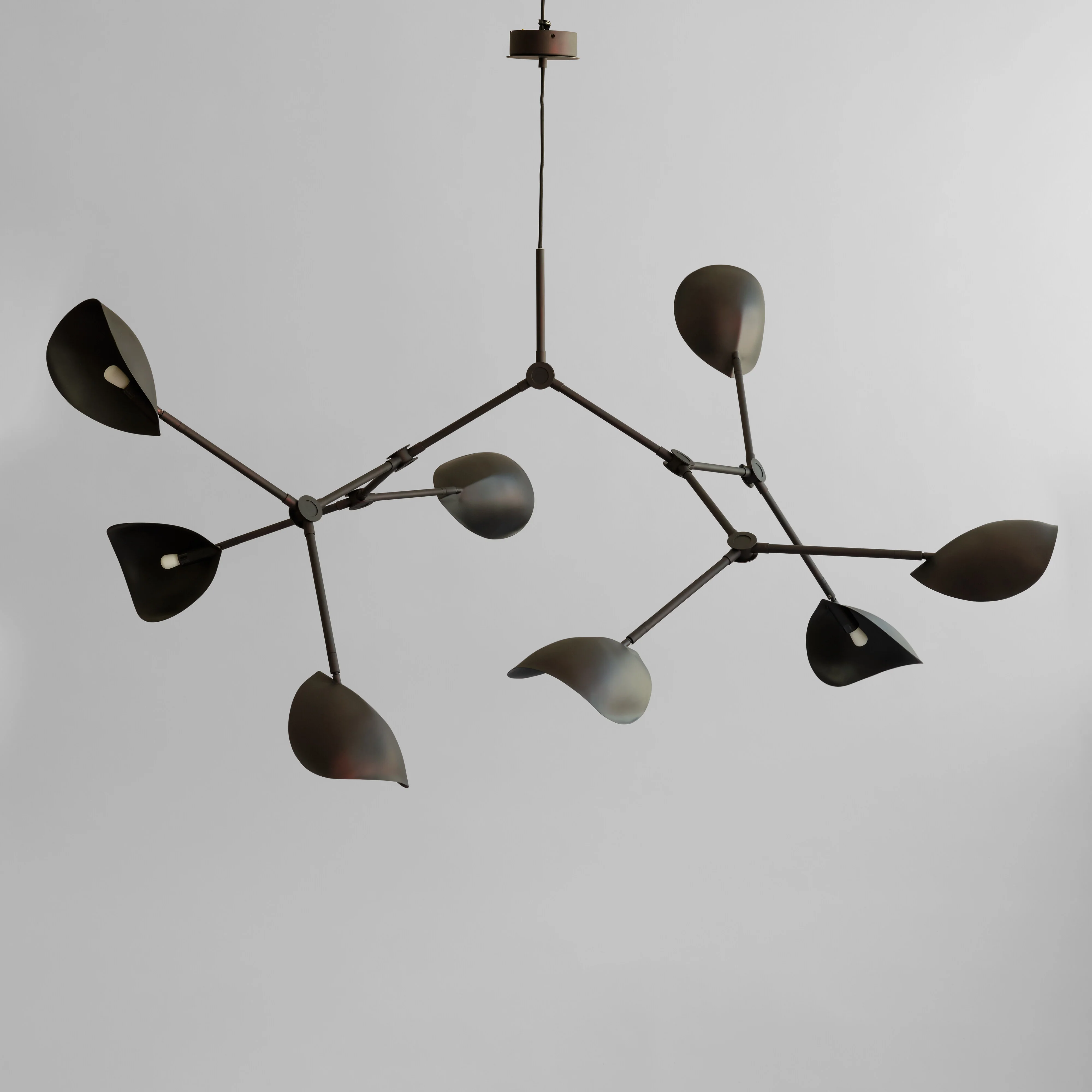 Featured Designs